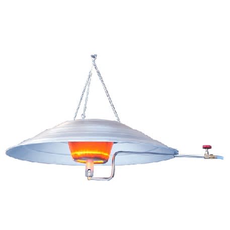 Gas Brooder  - 4000 Capacity