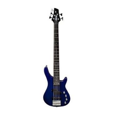 5 String Bass Guitar