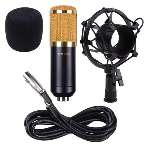 Professional Condenser Microphone