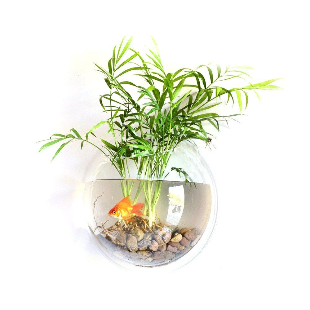 Home Decoration Wall Mount Fish Tanks Goldfish Bowl Acrylic
