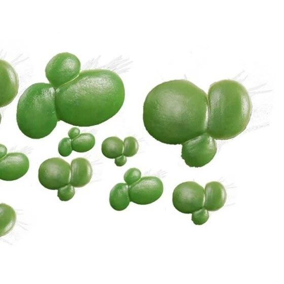 COFA fish tank aquarium plants aquarium Decoration Artificial Duckweed Floating Plastic Green White Plant