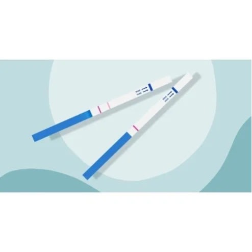 Pregnancy Test Strip- 1 Carton Pack-50 Pieces