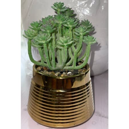 Artificial Potted Plant - Fake Bonsai