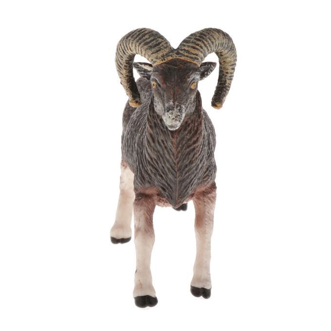 1Pcs Simulated Animal Realistic Goat Model Playset  Display Argali