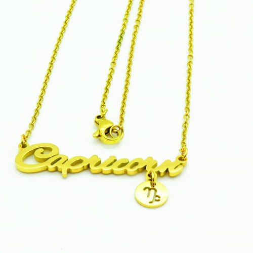 Zodiac Sign Tag Necklace - Capricorn