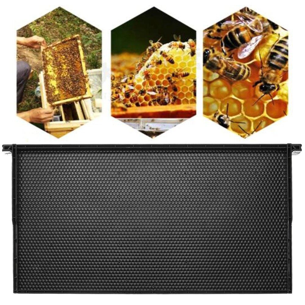Plastic Comb Foundation Comb Beehive Frames Honey Bee Beekeeping Hive