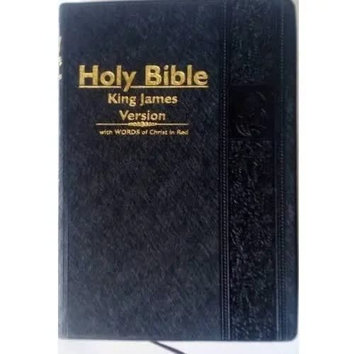 Bsn Holy Bible Kjv