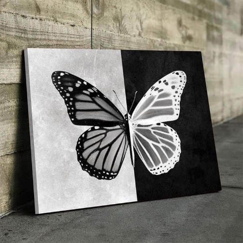 Butterfly Canvas
