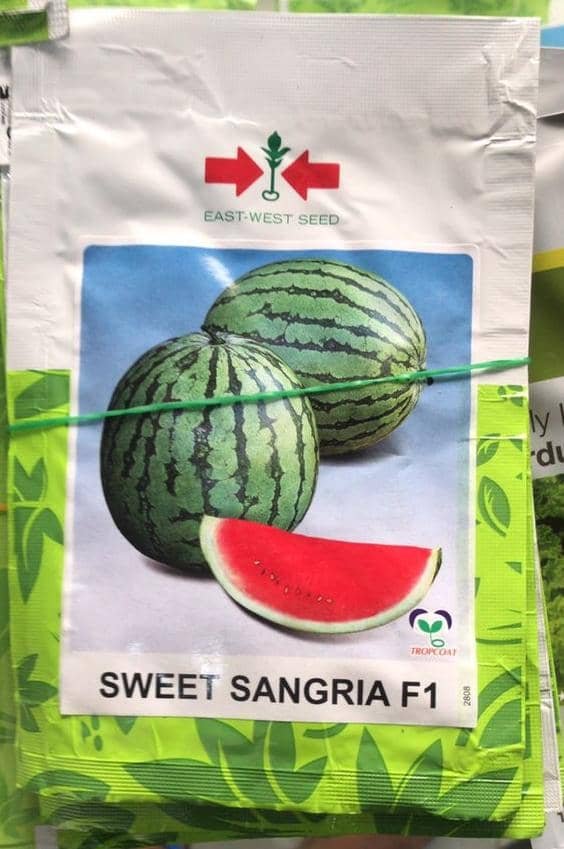 Sweet Sangria F1 - Hybrid Watermelon Seed. 10g 100seeds