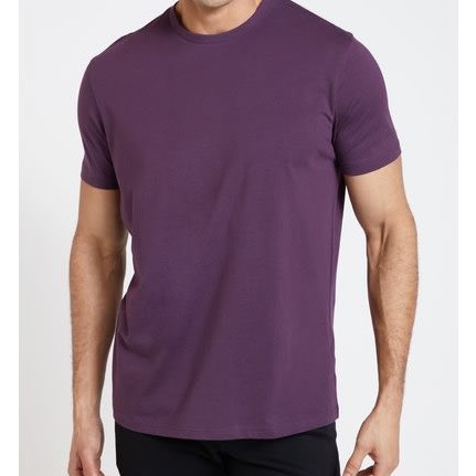 Regular Fit Crew Neck T-shirt