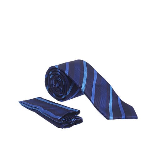 Vissioni Stripe Tie - Blue