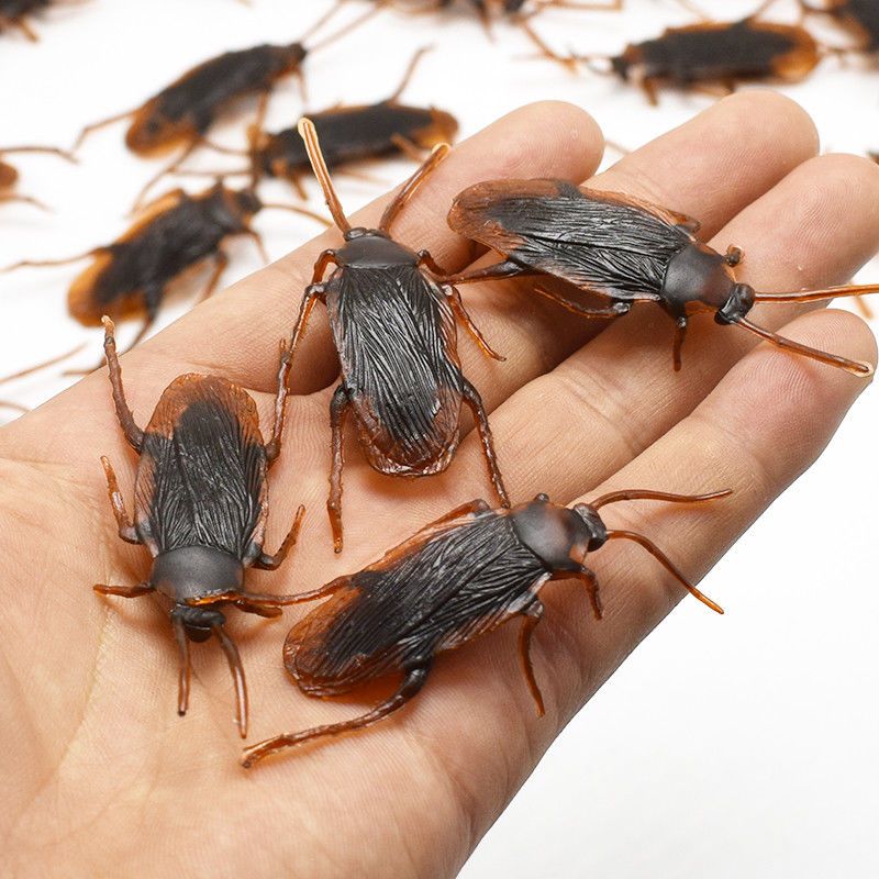 10pcs Funny Toys Special Lifelike Realistic Model Simulation Fake Rubber Cockroach