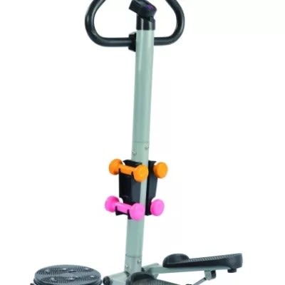 Standing Stepper With Twister And Dumbbells