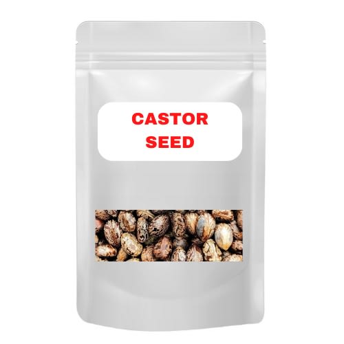 Castor Seeds - Big - 100g