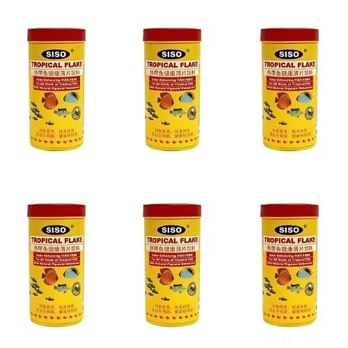 Flakes Type Fish Food For Aquarium Fishes - 50g X 6