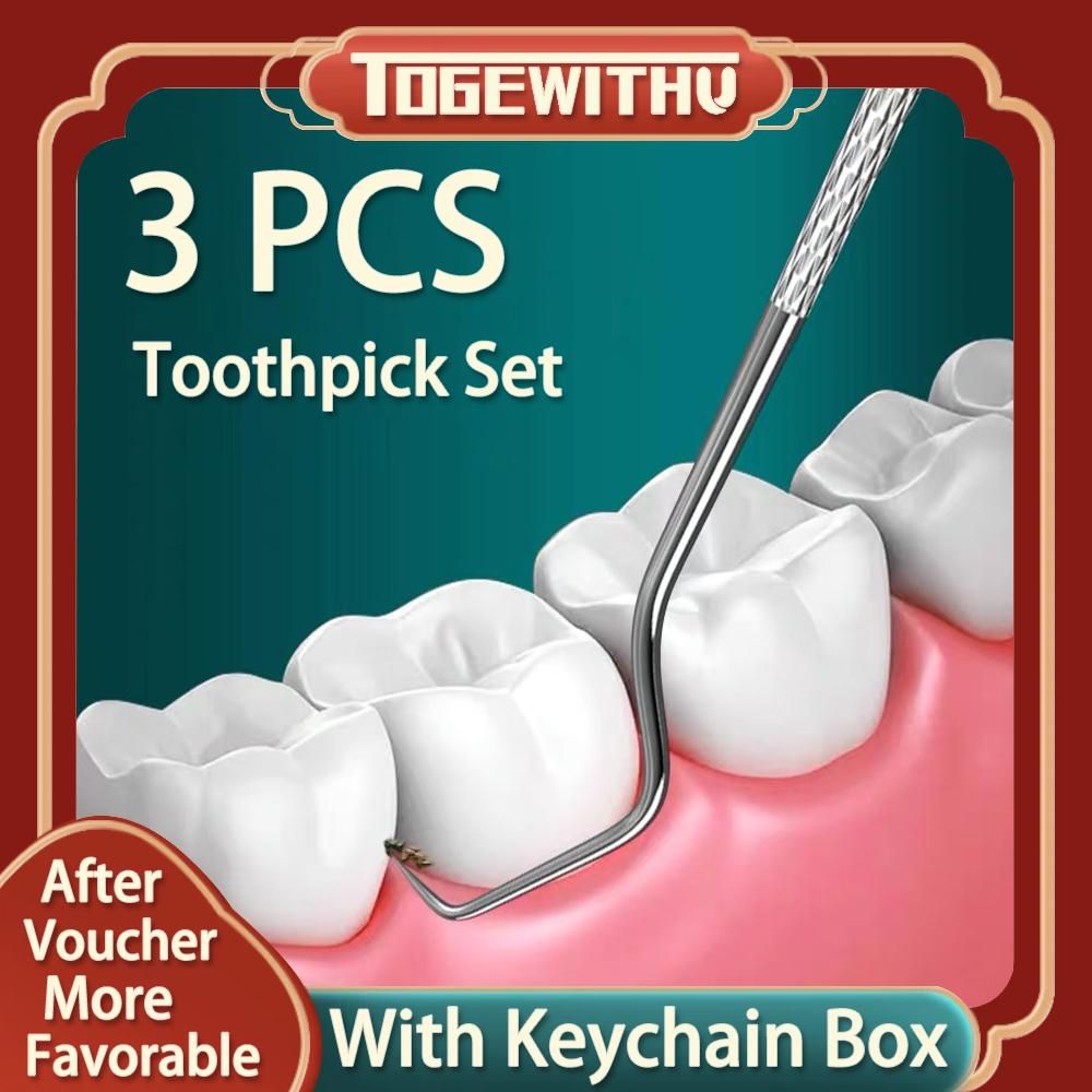 3PCS Toothpick Pocket Set, Reusable Stainless Steel Tooth Cleaning Tools with Holder Case Waterproof Portable Tooth Picker for Outdoor Travel Picnic and Camping