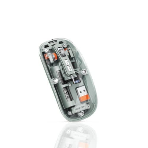 Lion Transparent Mouse 2