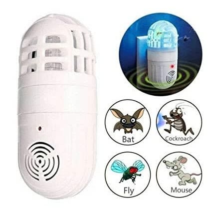 Insect Nd Rat Control