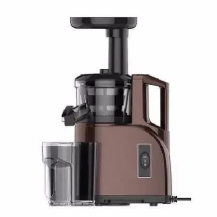 Professional Slow Juicer - Juice Extractor - 120Watt