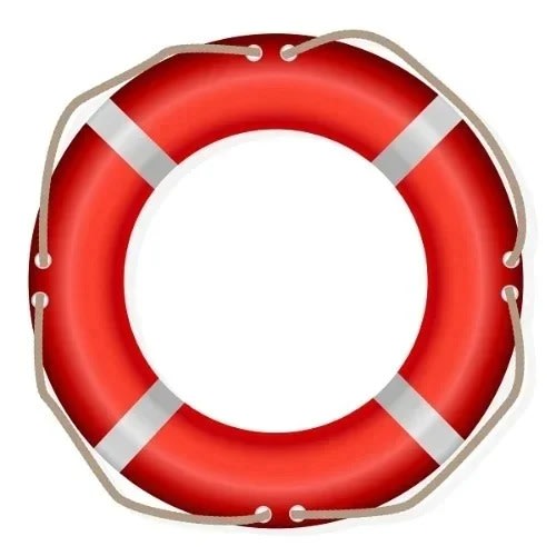 Life Buoy - 4.3kg