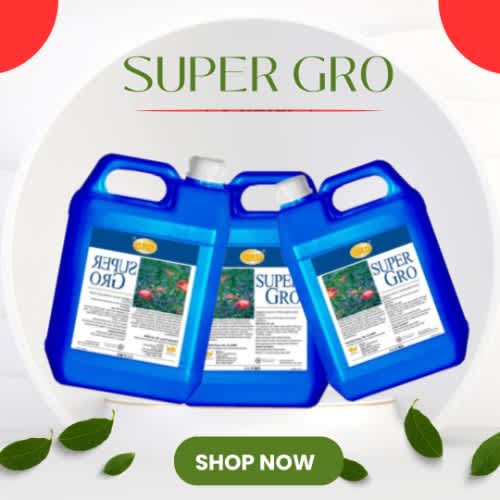 Super Gro - Single - 1L