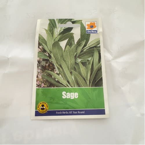 Sage - 25seeds