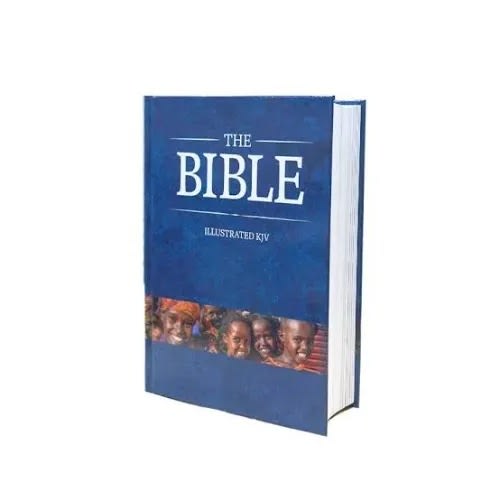 The Bible Illustrated Kjv - Medium