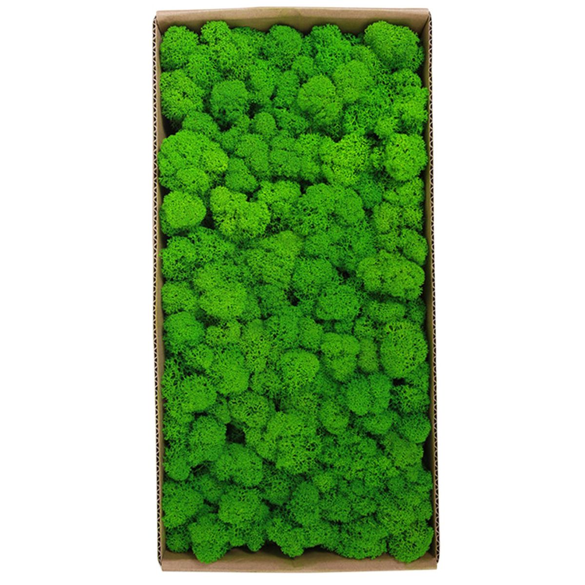 Preserved Moss Wall Decor Real Preserved Moss No Maintenance Required Naturally Preserved Moss for Home Wall Party Festivals Crafts Xmas Indoor Office Decoration