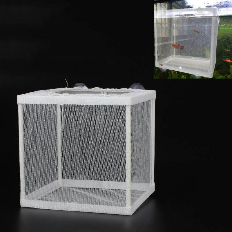 Small Aquarium Incubator