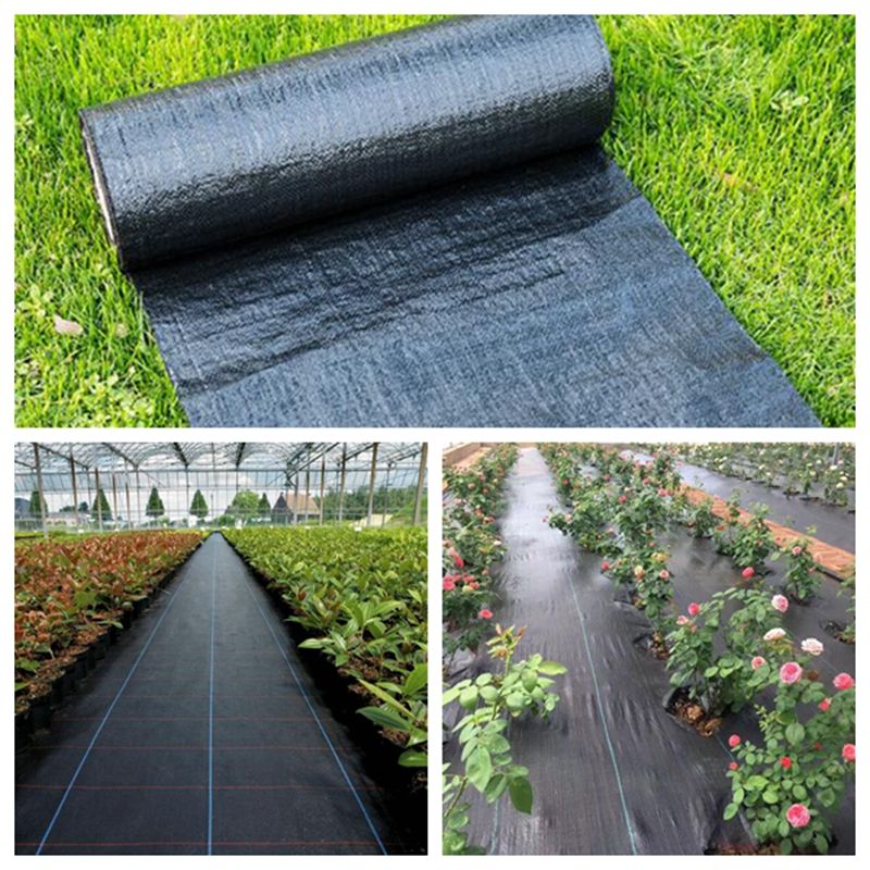 1m Agricultural Anti GrCloth Black Plastic Mulch Film Thickness Garden Weeding Control-2.5M Width
