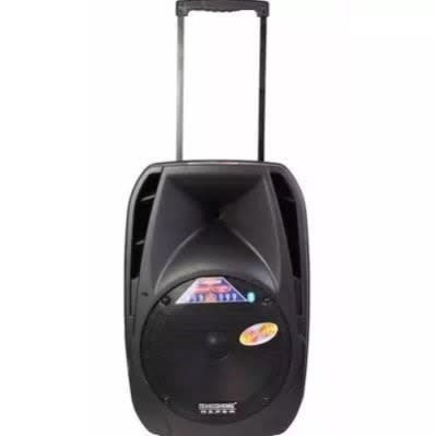 Rechargeable Bluetooth Pa Speaker System With Wireless Microphone Radio & Sd/usb Slots