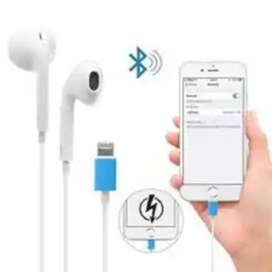 Bluetooth Wired Lightning Earphones Headphones With Mic For IPhone 7 8 X Xs Max