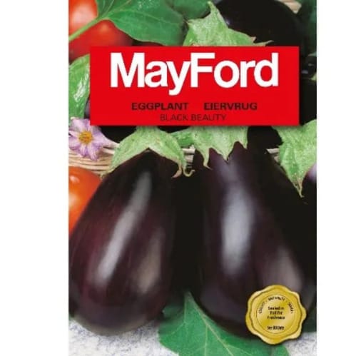 Eggplant Seed - Black Beauty - 2.5g