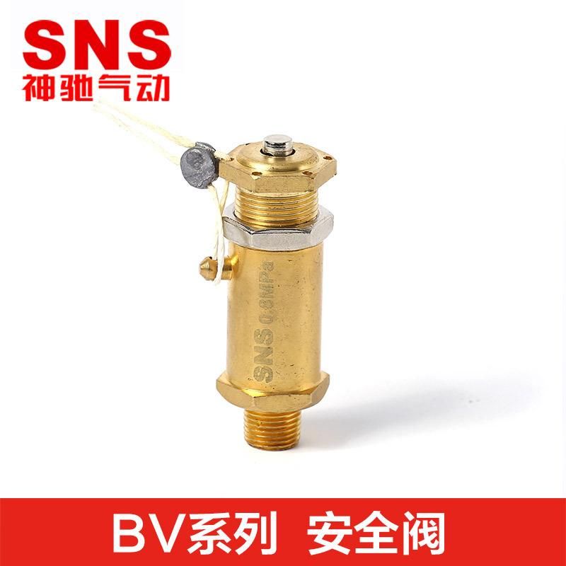 SNS Shenchi Pneumatic Long-Term Available Air Compressor Safety Valve BV-01 Compressed Air Safety Valve Durable