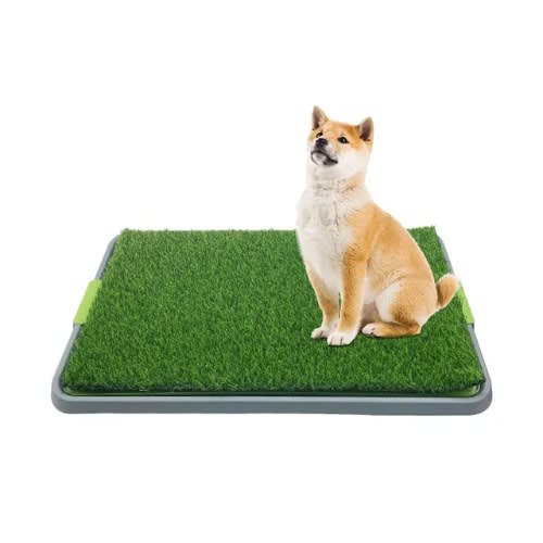 TD Puppy Training Patch Potty Pad Artificial Turf Toilet