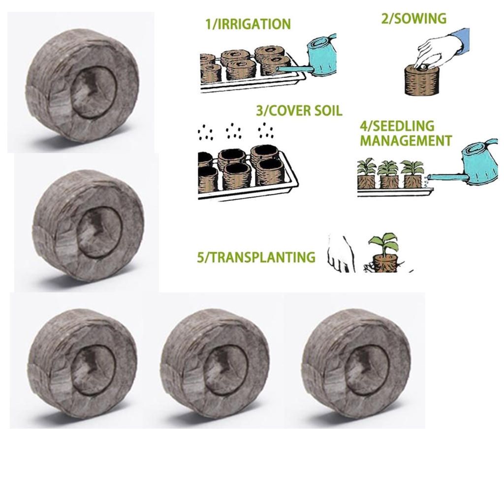 20X Peat  Seedling  Block  Starting Plugs  Starter Pallet