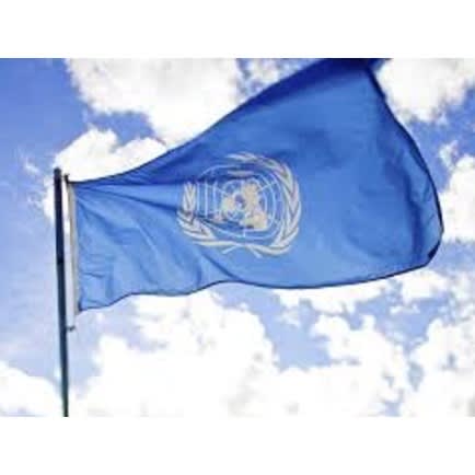 United Nation Flag
