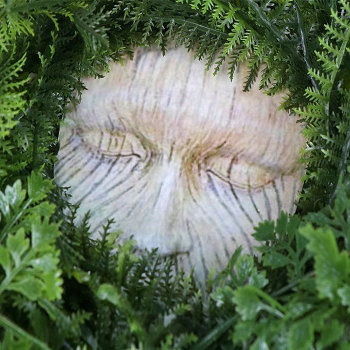 Ferns Wreath Farmhouse Face Garland Front Door Hanging Window Holiday