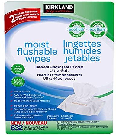 Moist Flushable Wipes  Pre-moistened Wipes For The Entire Family