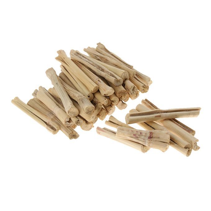 Bamboo Chew Sticks - Natural Toy For Small Pet Clean Teeth And Healthy