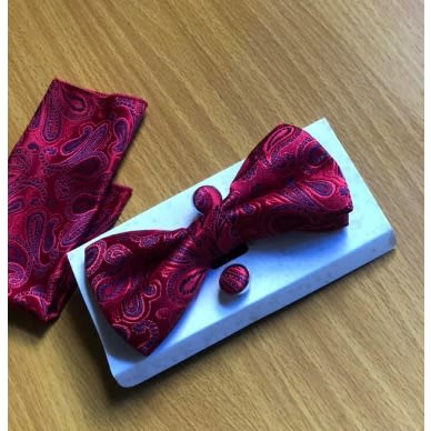 Patterned Stylish Men's Bow Tie
