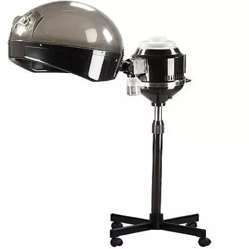Standing Hair Steamer