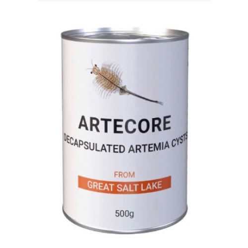 Artecore Decapsulated Shell Free Artemia - 500g