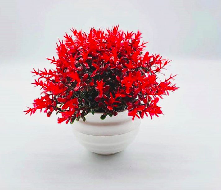 Artificial Potted Flower - Bright Red