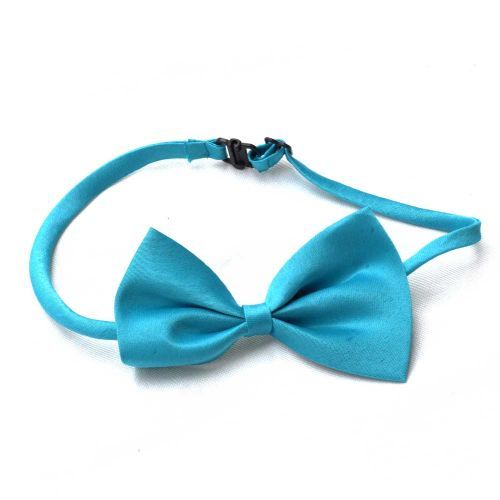 Boys Bow Tie - Blue