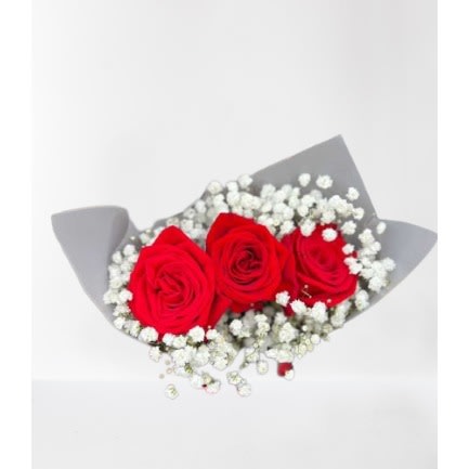 3 Mini Red Roses & Gypso Mix