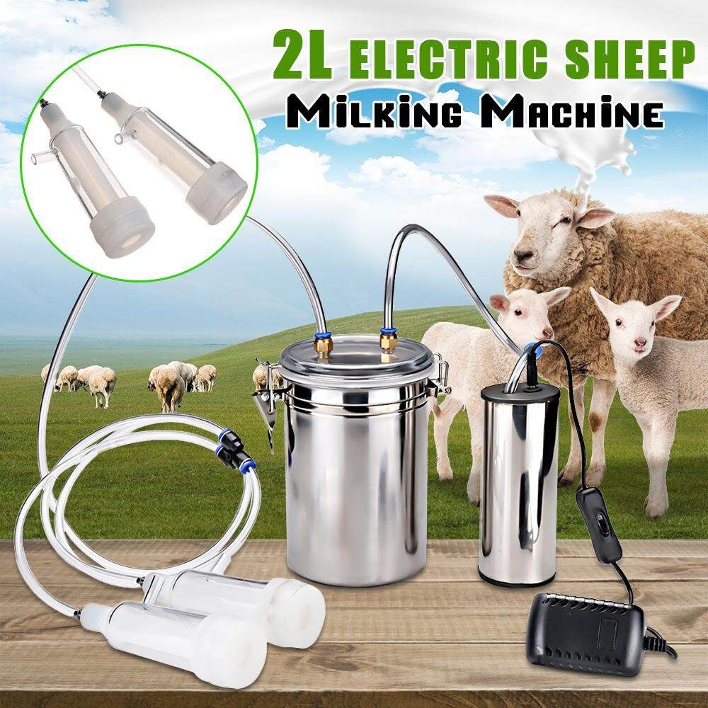 2L 1/2 Gal 2 Teats Goat Milker Electric Sheep Milking Machine Stainless Steel American Rules