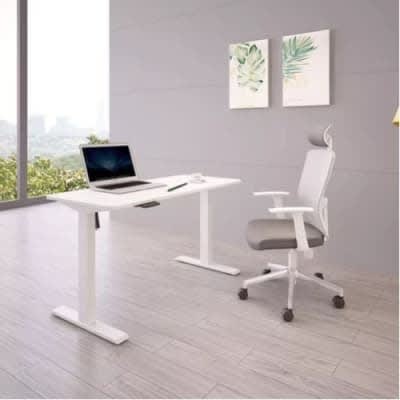 Adjustable Height Electric Standing Desk - 1.6mtr
