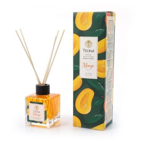 Mango Reed Diffuser Touch Of Scents Air Freshener