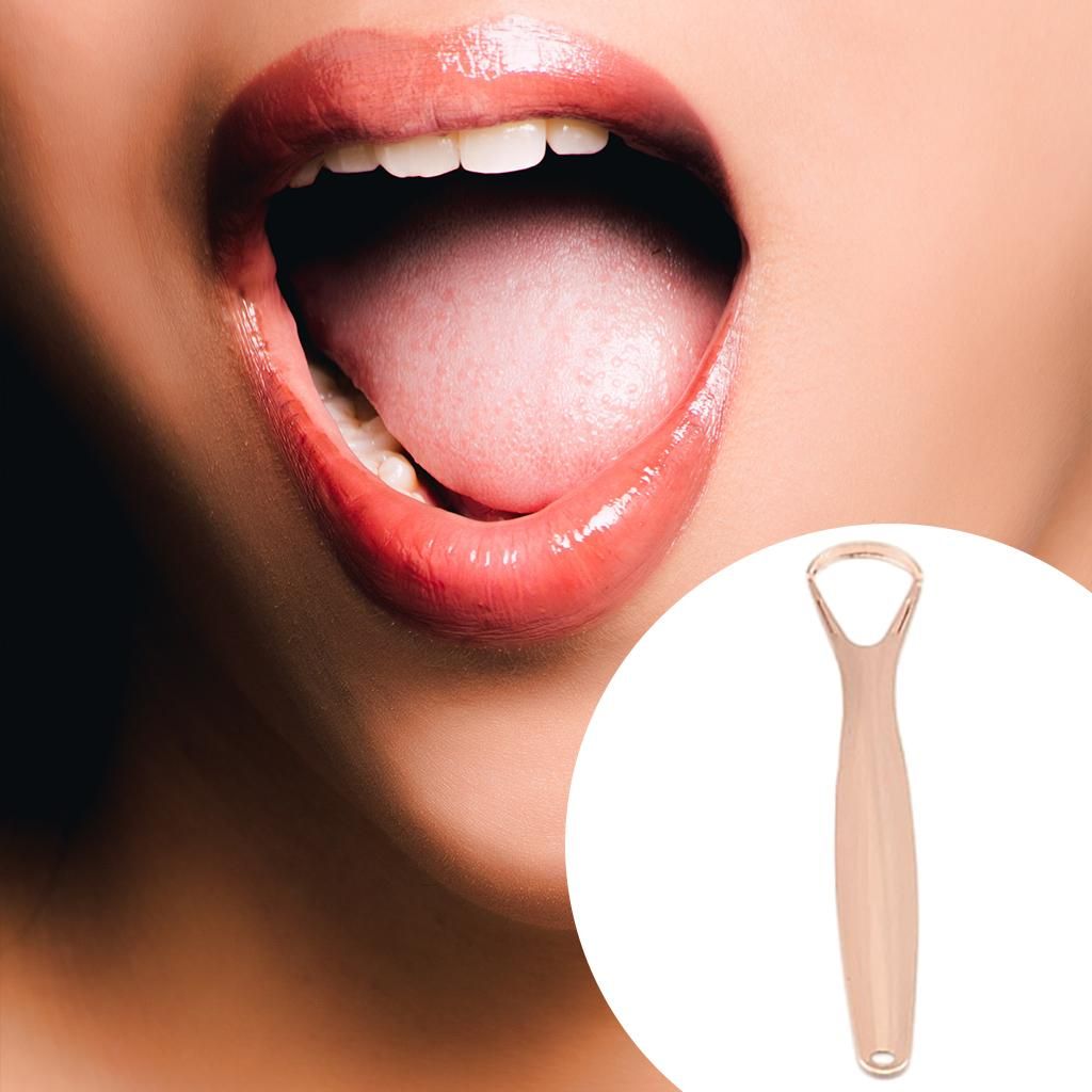 Scraper Heavy-Duty Ergonomic For Adults Kids   Small Hollow